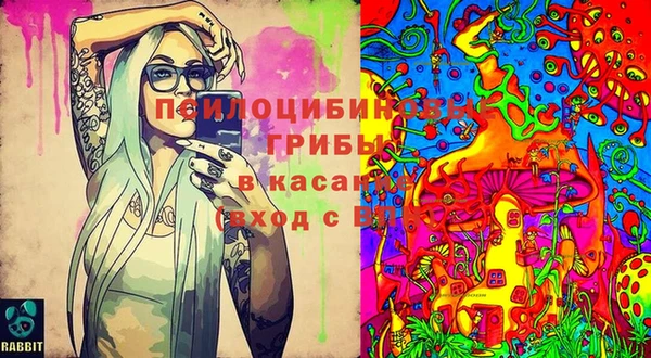 амфетамин Сосновка